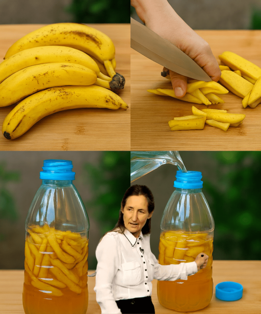 Cette image a un attribut alt vide ; son nom de fichier est gj-43-853x1024.png